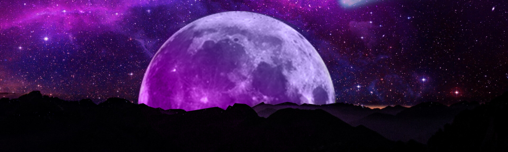 Marvin banner image