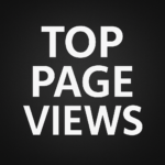 Top Page Views