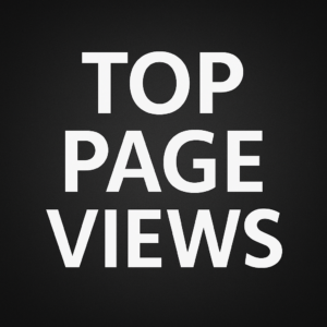 Top Page Views