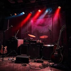 Image of Thumbnail: The Life and Legacy of Lucinda Williams: A Rock Icon
