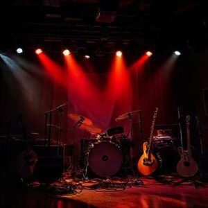 Il Rovescio della Medaglia: A Pillar of Italian Progressive Rock