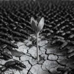 From the The Swarm Awakens – The Last Flower Standing Featured Image Image of The Swarm Awakens – The Last Flower Standing Featured Image