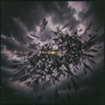 Image of The Swarm Awakens – When the Sky Turns Black Featured Image