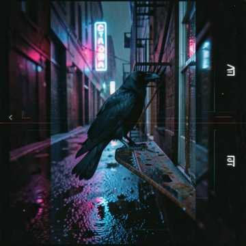 Image of Madness and Decadence – The Raven Knows Your Name Featured Image