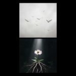 Image of O Enxame Desperta – A Última Flor de Pé Featured Image
