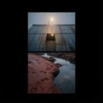 Image of Compilation – Forever Is a Lonely Night Featured Image