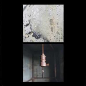 Image of Das Zeitalter des Schweigens – Echos des Verbotenen Featured Image